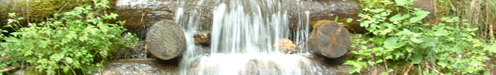 Massage Session , curtesy of J. Scholte.