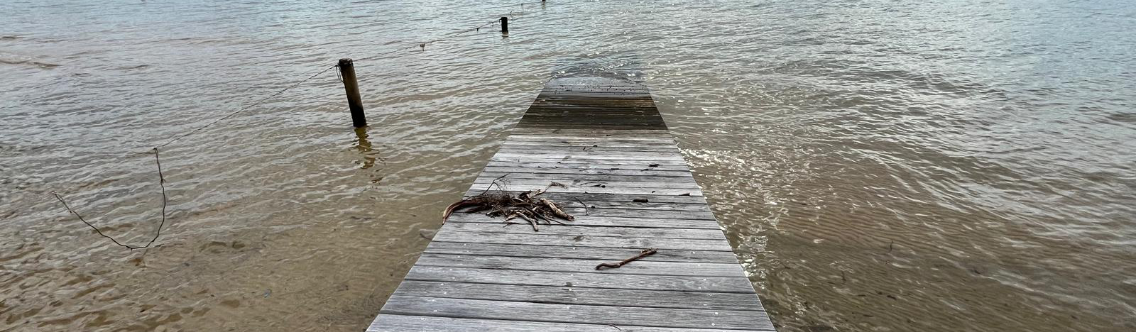 Massage Session , curtesy of S. Delarue.