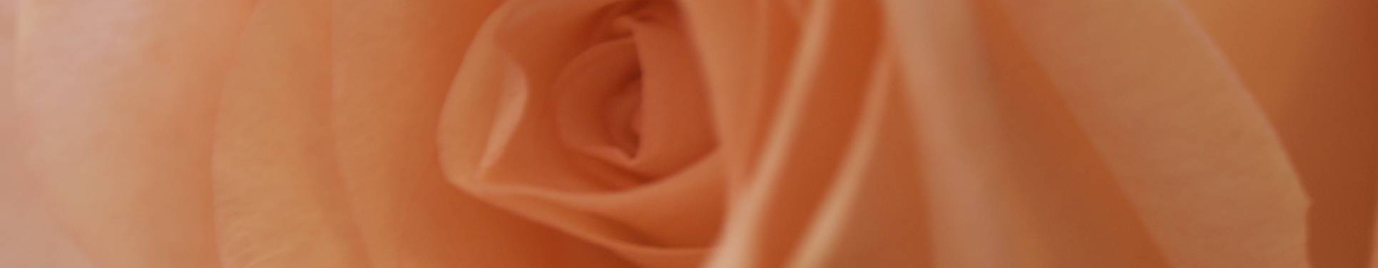 Massage Session , curtesy of J. Scholte.